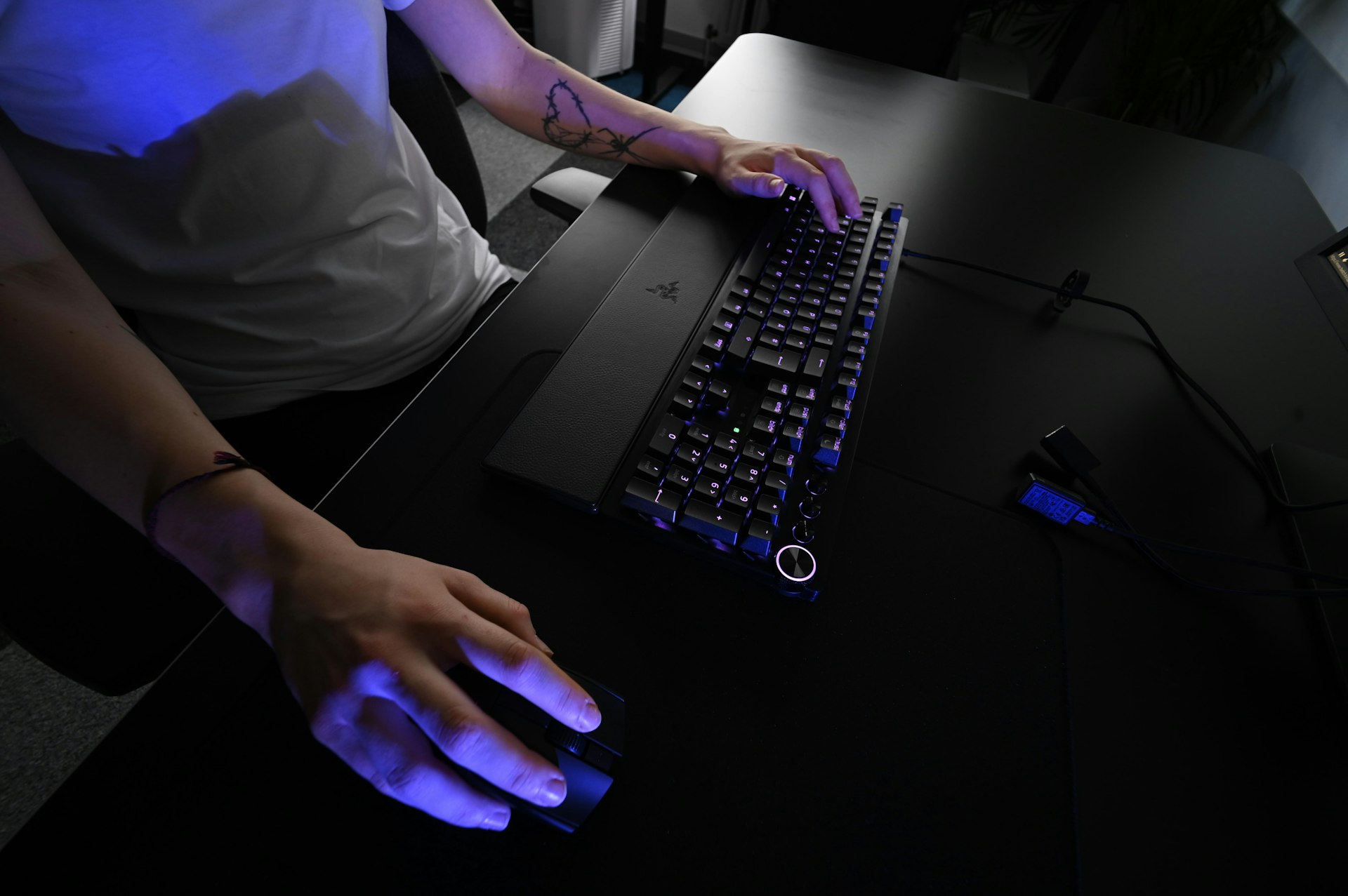 A person sitting at a desk with a keyboard and mouse